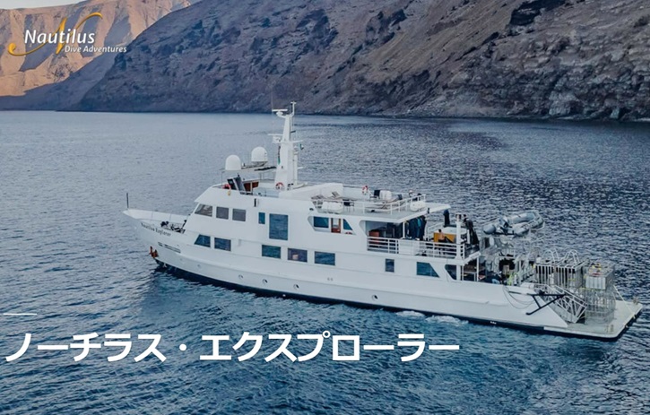 「グアダルーペ島のホホジロザメダイビング」徹底ガイド 【旅の大事典】